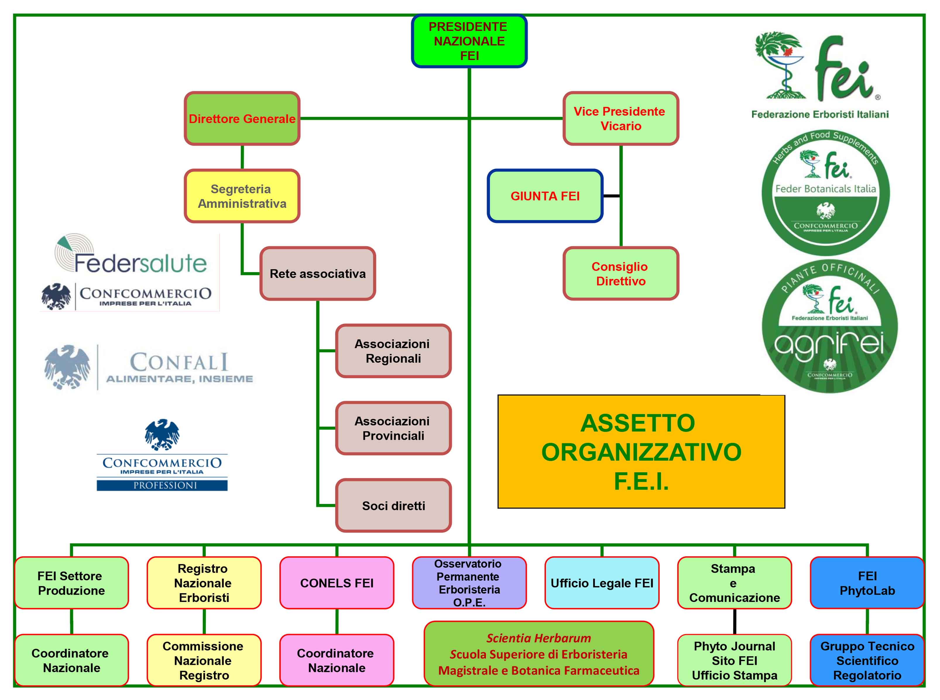 Organigramma-fei