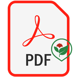 ico-fei-pdf-professionista