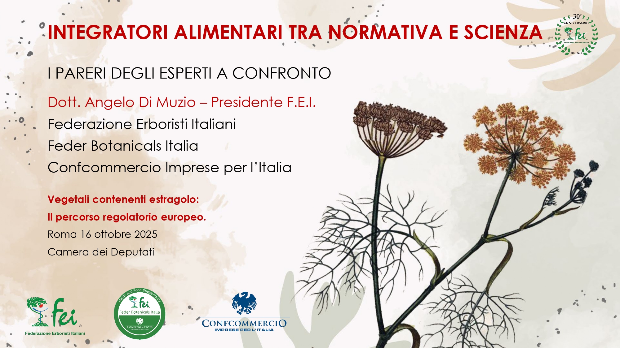 Immagine correlata 1